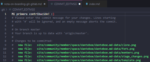 ../../../../_images/first_commit.png