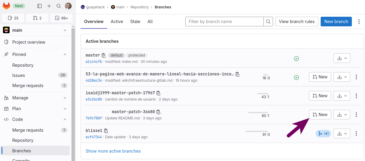 ../../_images/gitlab-project-branches-new-mr.png