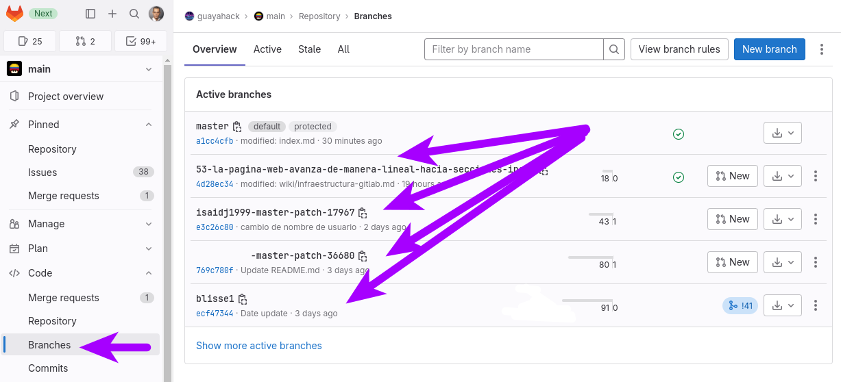 ../../_images/gitlab-project-branches.png