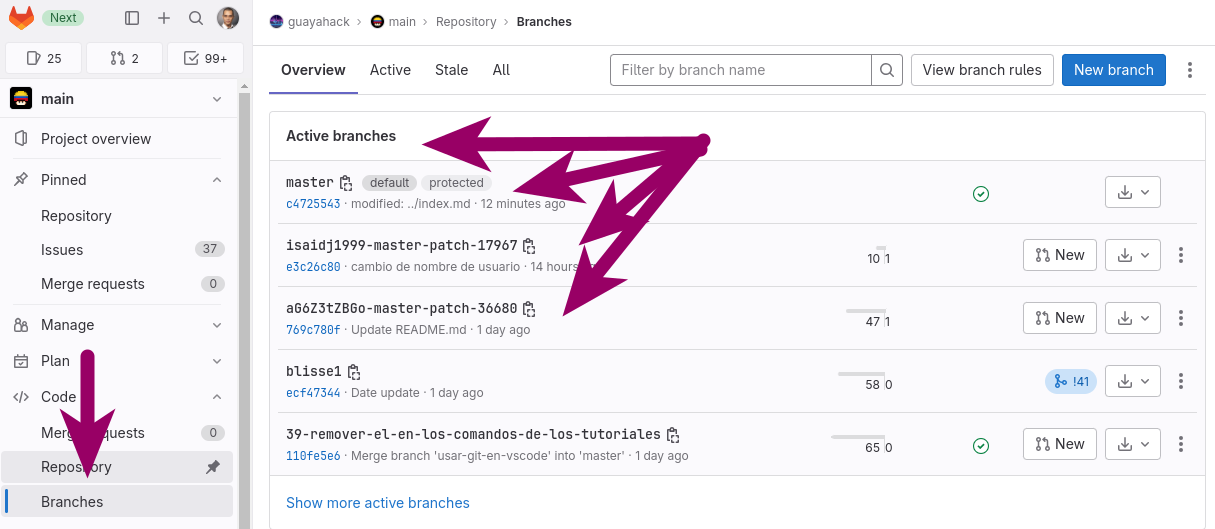 ../../_images/gitlab-project-branches1.png